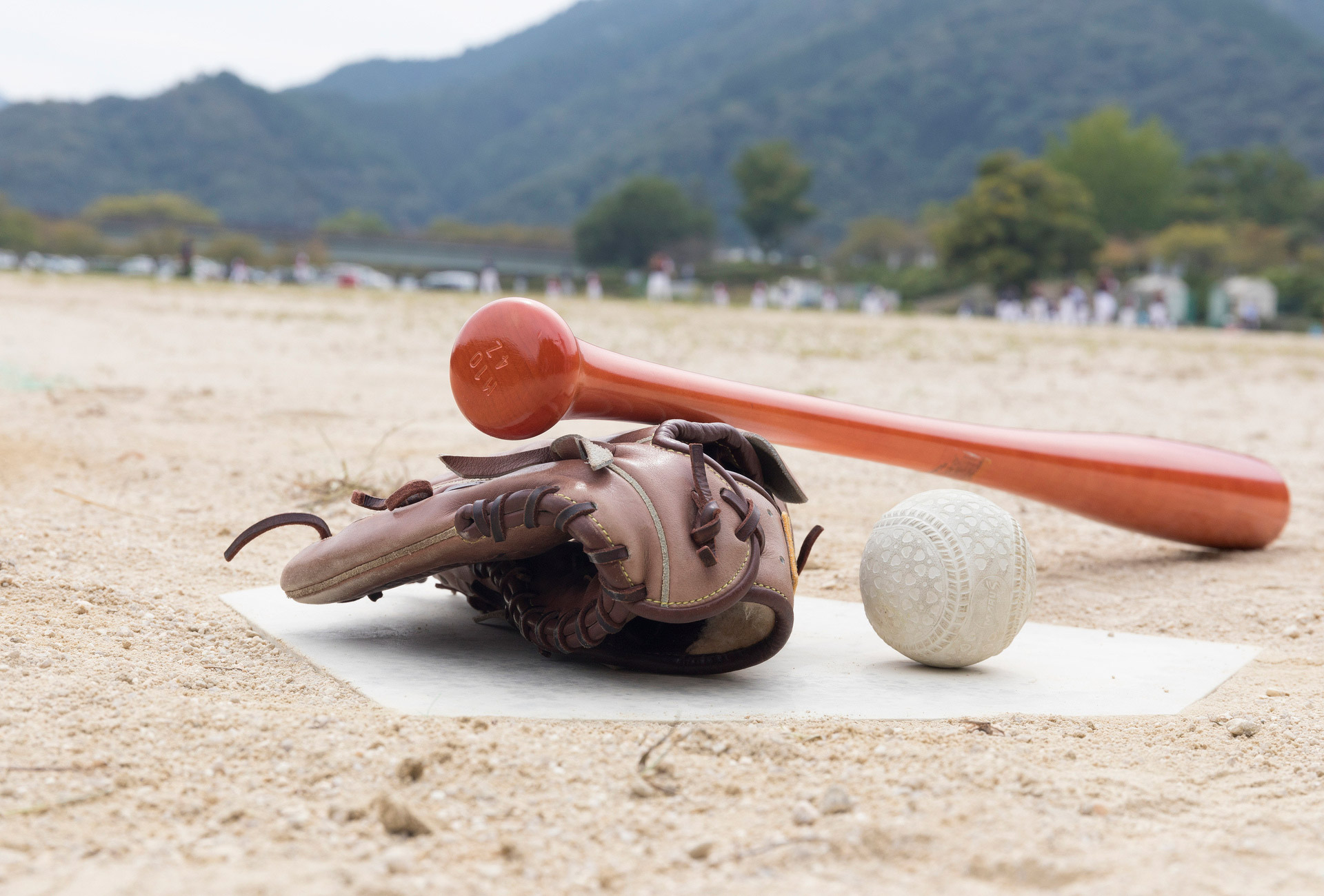 硬式野球ボール50球 慌て